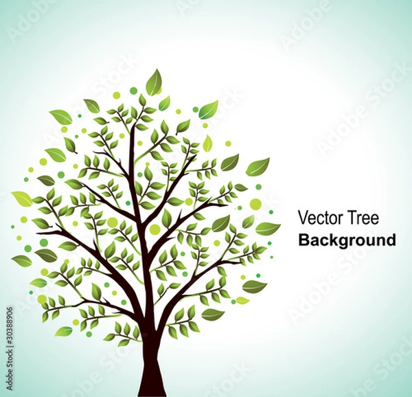 Obraz Beautiful vector tree
