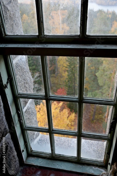 Fototapeta A view to an autumnal forest from an old window.