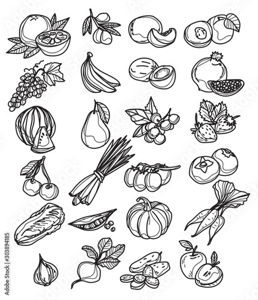 Fototapeta Set of various hand drawn vegetables sketches isolated on white