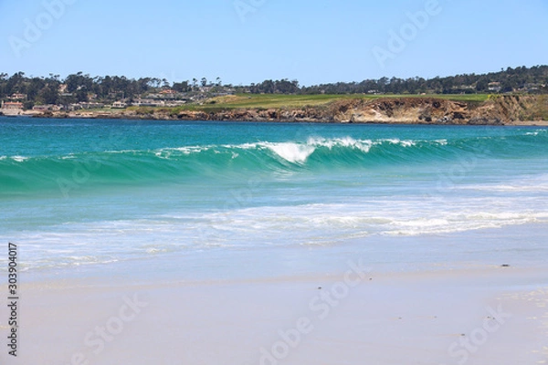 Obraz The Surf at Carmel Beach