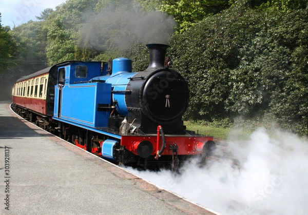 Obraz steam locomotive