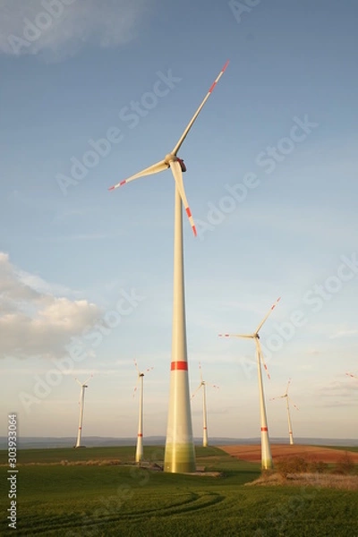 Fototapeta Wind Mill at sunset 