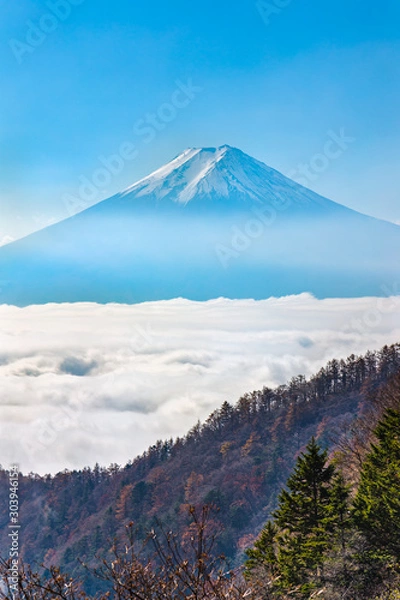 Fototapeta 青空と雲の上の富士山
