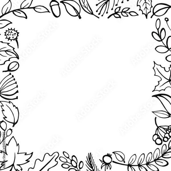 Fototapeta Sketch Hand drawn Frame of fall leaves. Forest design elements.