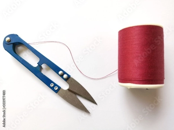 Obraz scissors and thread