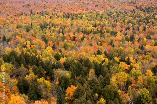 Fototapeta Lake Superior National Forest, Minnesota, USA in autumn colors.