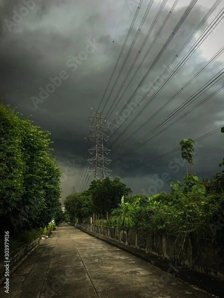 Fototapeta road in forest