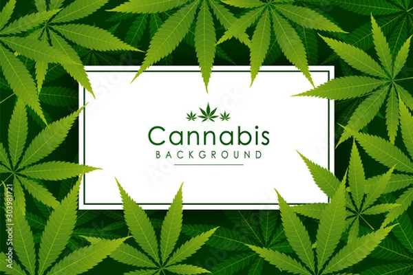 Fototapeta green cannabis leaf drug marijuana herb Background. Vector Marijuana Frame Cannabis Green Leaf.