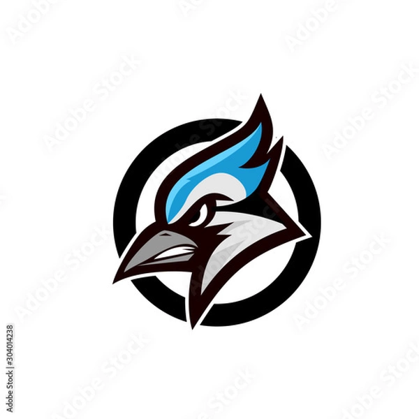 Obraz blue jay bird color head mascot logo icon designs vector illustration
