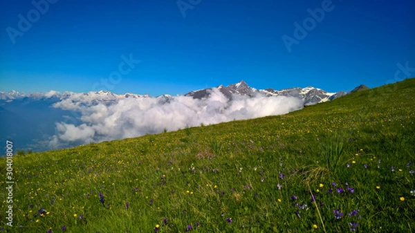 Fototapeta Springtime in the alps
