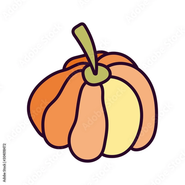 Obraz pumpkin vegetable harvest on white background