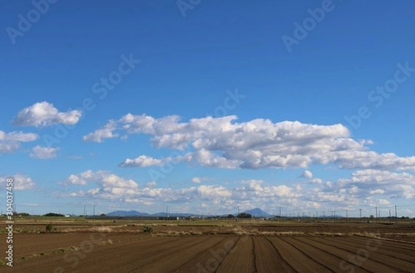 Fototapeta 空　秋　田舎　風景　杤木