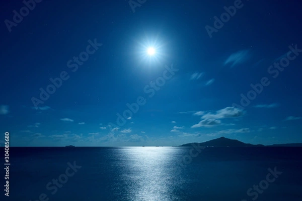 Obraz Moonlight illuminating the sea