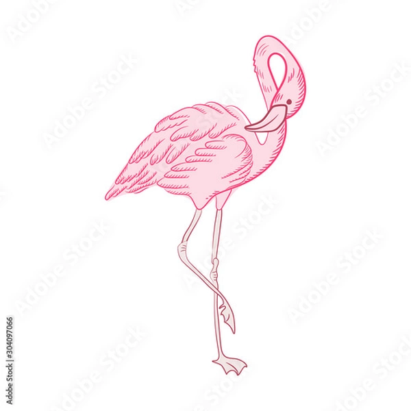 Fototapeta Beautiful pink flamingo bird flat color icon - vector image