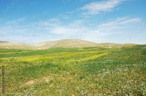Obraz Spring view of green fields and hills in Samaria, Israel.