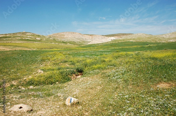 Obraz Spring view of green fields and hills in Samaria, Israel.