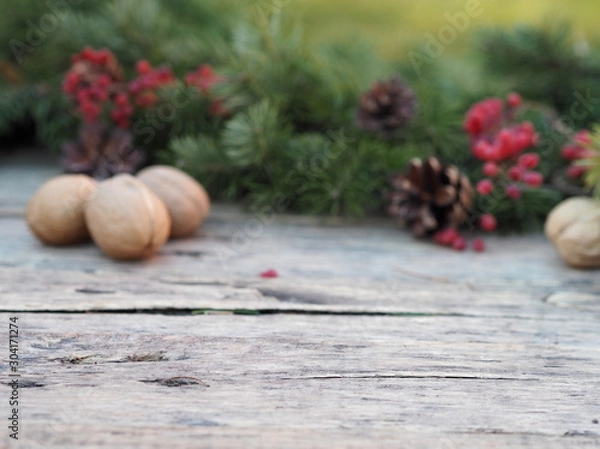 Fototapeta OLYMPUS DIGITAL CAMERA