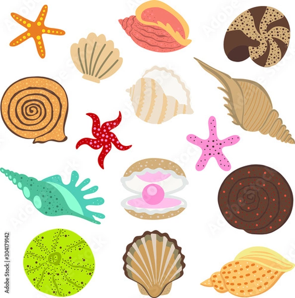 Fototapeta Sea shell colorful set.