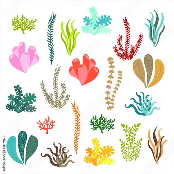 Fototapeta Set of isolated colorful corals and algae on a white background.