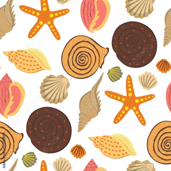 Obraz Sea shell colorful pattern.