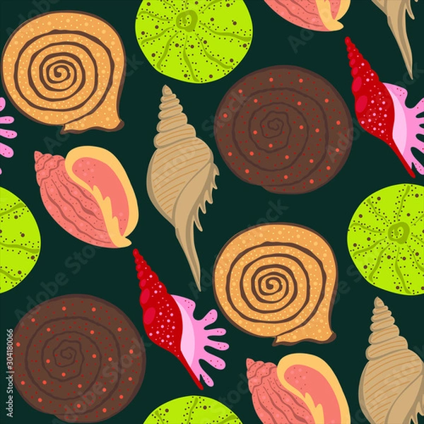 Fototapeta Sea shell colorful pattern.