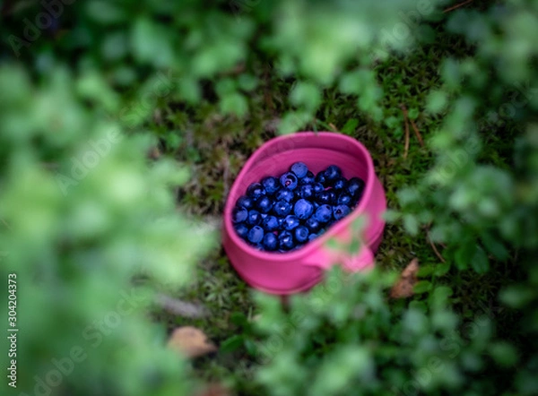 Obraz Blueberries in a cup