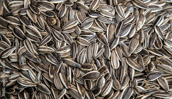 Obraz black dried sunflower seed bio