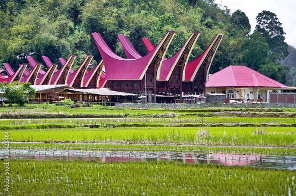 Obraz Toraja village