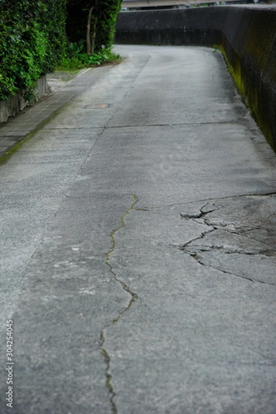 Fototapeta 屋久島　宮之浦