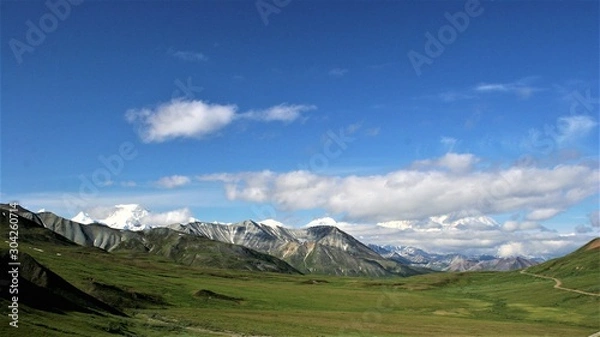 Obraz Landscape in Denali Park