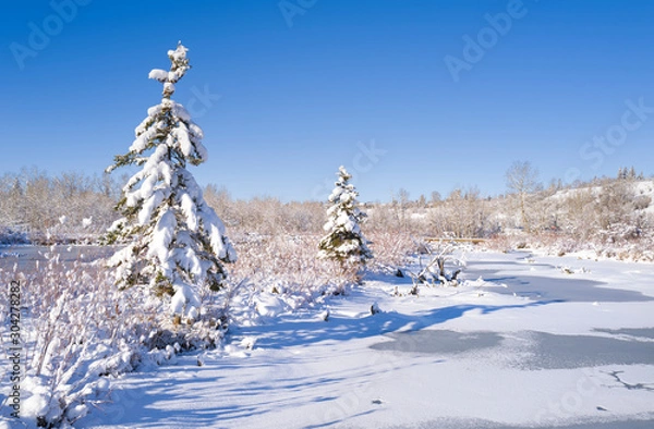 Obraz Winter wonderland