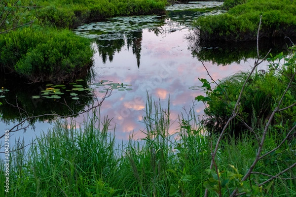 Fototapeta Calmness - Sunset clouds reflected in wetlands