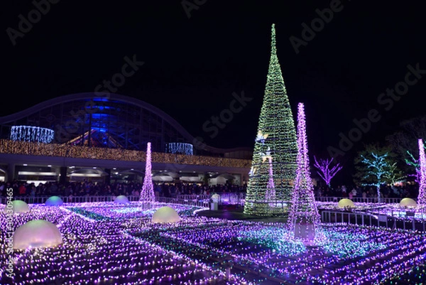 Fototapeta フローランテのイルミネーション