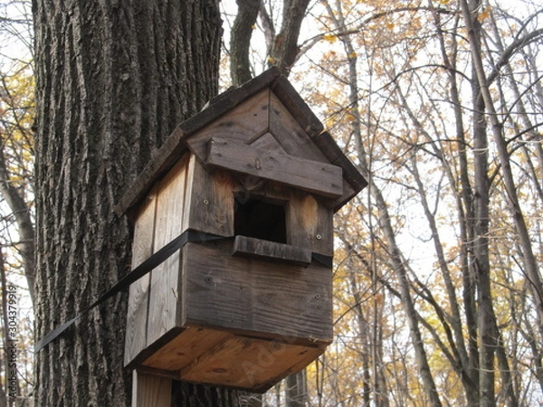 Fototapeta old bird house hanging from the tree in autumn forest