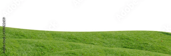 Fototapeta Green grass field isolated on white background with clipping path.