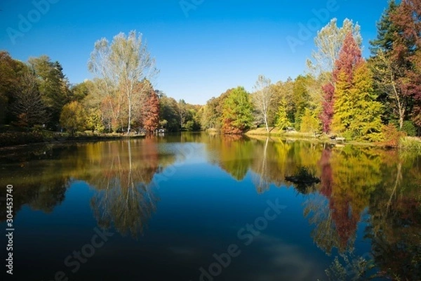 Fototapeta Ataturk Arboretum Botanic Park in Istanbul