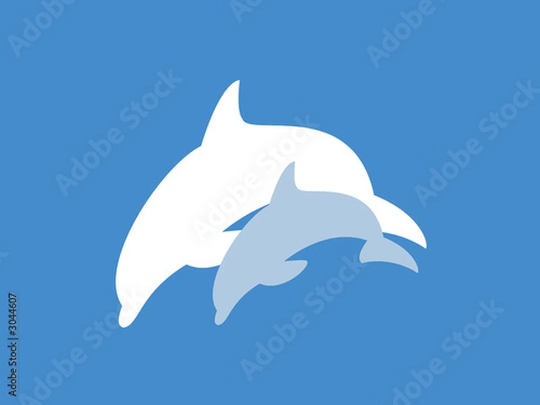 Fototapeta dolphin jump