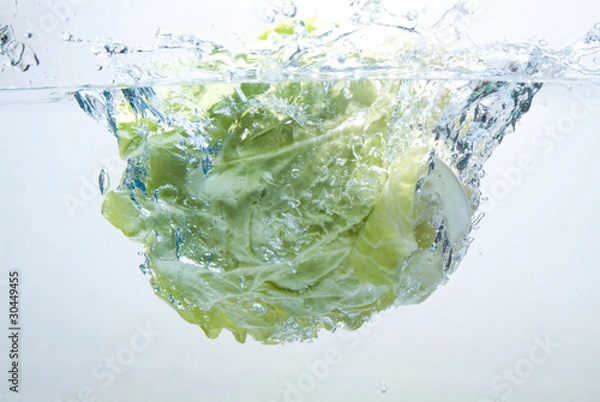 Fototapeta キャベツ