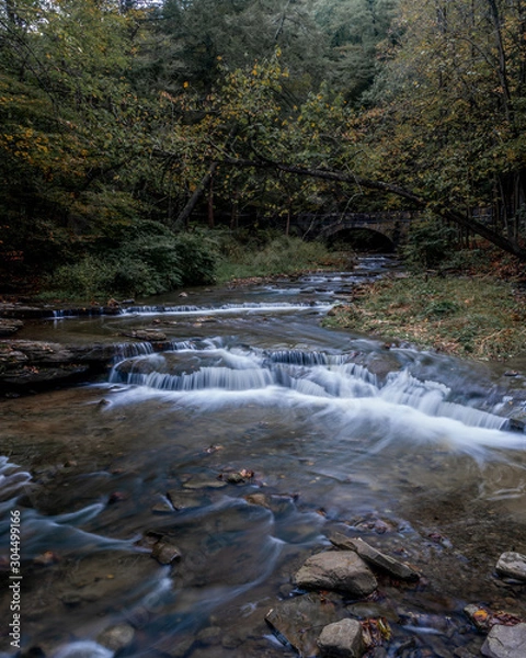 Fototapeta waterfall in the forest