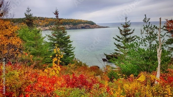 Obraz Autumn in the park