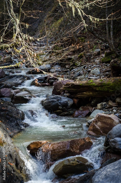 Obraz waterfall in forest