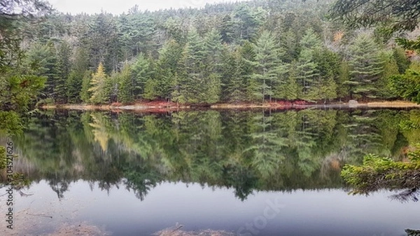 Obraz reflection of trees in lake