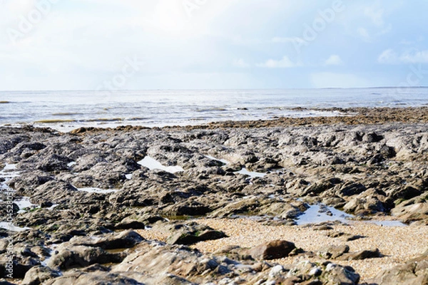 Obraz côte maritime