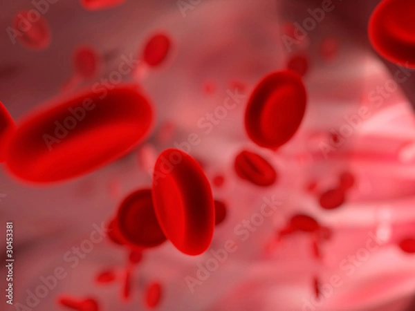 Obraz Streaming blood cells