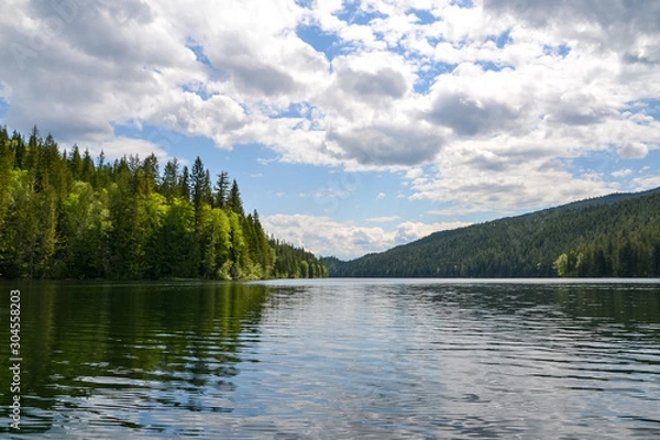 Fototapeta The dense pine forest lining the edges of Clearwater Lake reflects on the rippled water. The clouds and trees reflect on the surface of the lake on this calm and sunny day.