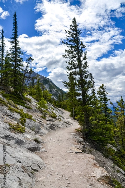 Fototapeta A dirt, hiking trail wraps around the edge of Sulfur Mountain where young pine trees and low lying vegetation grow out from the rocky cliff face towering high into the cloudy sky on a sunny day.