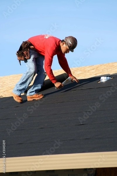 Obraz roofer