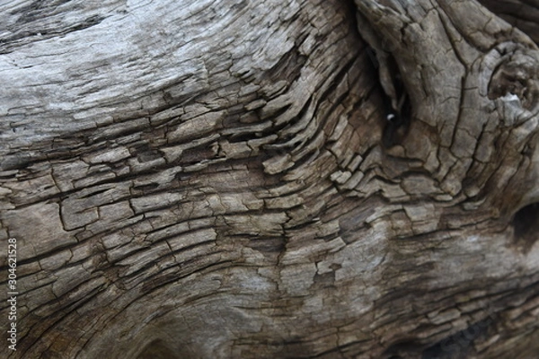 Obraz Lines and Curves and Eye