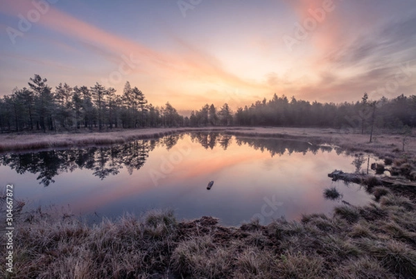 Obraz Calmness and cold autumn morning landscape with sunrise, beautiful reflections and peaceful lake in Finland