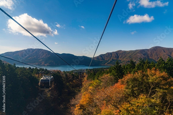 Obraz ロープウェイから見る芦ノ湖
